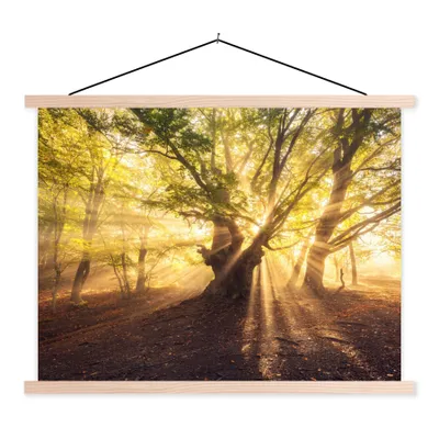 Produktbild von MuchoWow® Textilposter Baum - Wald - Sonne 40x30 cm mit holzfarbenen Rahmen - Bilder