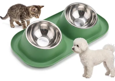 Image de Distributeur de nourriture pour chiens double, avec un design antidérapant, idéal pour les petites races