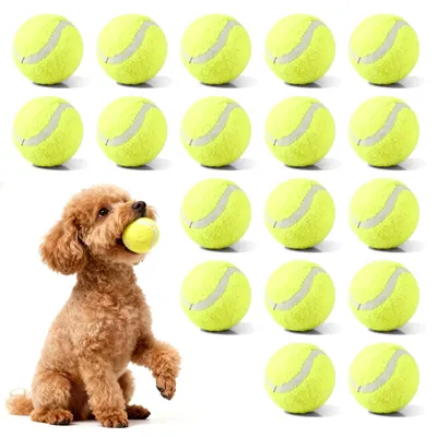 Imagen del producto de Pelotas de tenis para perros, 18 unidades para horas de diversión