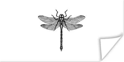 Produktbild von MuchoWow® Poster Libelle - Insekten - Retro - Schwarz und weiß 40x20 cm - Poster für die Wand - Poster Schlafzimmer