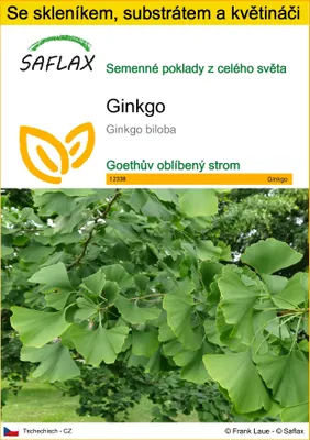 Obrázek produktu pro SAFLAX Kultivační sada - ginkgo - Ginkgo biloba - 4 Semena - S mini skleníkem, pěstebním substrátem a 2 květináči