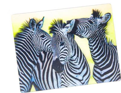 Produktbild von 3D Magnet Zebras