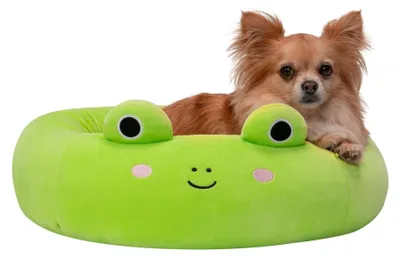 Productafbeelding van Pelíšek Squishmallow, Wendy het kikkertje, 50 cm