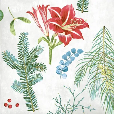 Produktbild von Airlaid Serviette Amaryllis, 40 x 40 cm, 50 Stück - Mank