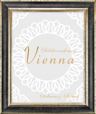 Produktbild von Bilderrahmen Vienna - 25x30 cm, Schwarz Silber Nachbildung, 1 mm Kunstglas entspiegelt