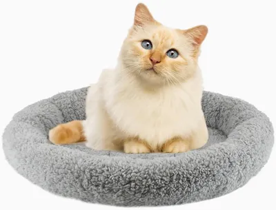Produktbild von Katzenbett rund, Plüsch, 40 cm, für kleine Hunde und Katzen, rutschfest, grau