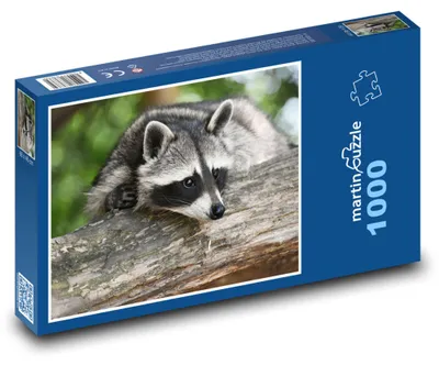 Obrázok produktu pre Puzzle 1000 Mýval na kmeni v lese - martinpuzzle