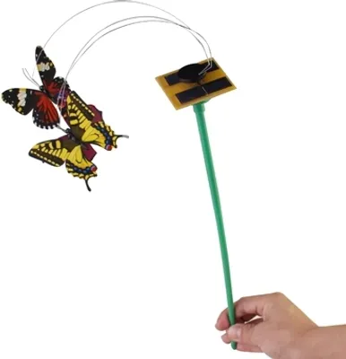 Image de Papillon solaire (vert)