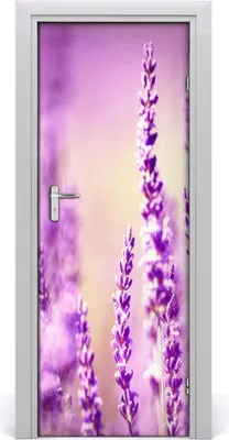 Produktbild von Tulup Türaufkleber 75x205 cm Dekorative Aufkleber Selbstklebend Wasserdichte Tapete Abnehmbar Schlafzimmer Wohnzimmer Wohnkultur - Lavendel Klebe