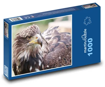 Produktbild von Puzzle 1000 Majestätischen Adlerblick - martinpuzzle
