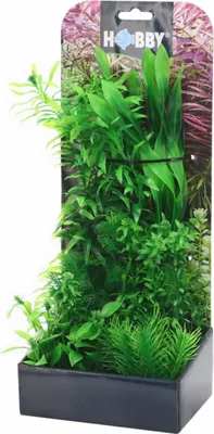 Produktbild von Hobby Plantasy Set 4 - Pflanzen-Set mit 6 künstlichen Aquarienpflanzen