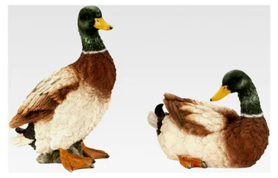 Produktbild von 2 Stück Entenfiguren stehend/liegend 12cm/21cm Dekoration für Haus, Teich und Garten