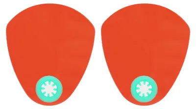 Productafbeelding van 2 stuks tandheelkundige lichtuithardingsplaat, kleurbord, instrumentaccessoire, rood