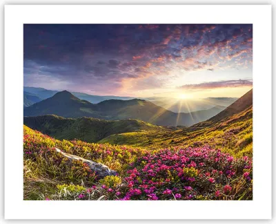 Produktbild von Poster - Poster ohne Rahmen - Gebirge Wiese Landschaft Wald - 50x40 cm - Wand Bild - Wanddeko - Wandbilder - Kunstposter - Wandposter - Bilder - Kunstdruck - Wandbild - P2XAA50x40-3152
