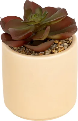 Image de Succulente artificielle en pot NILS, 12 cm