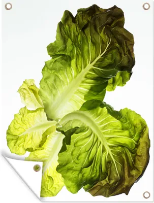 Produktbild von MuchoWow®