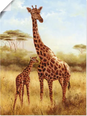 Produktbild von ARTland Poster Giraffe Größe: 45x60 cm