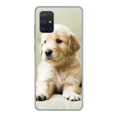 Produktbild von MuchoWow® Handyhülle Schutzhülle Hülle für Samsung Galaxy A51 5G Golden Retriever Welpe auf dem Sofa liegend Silikon Softcase Handy Hülle - Abbildung