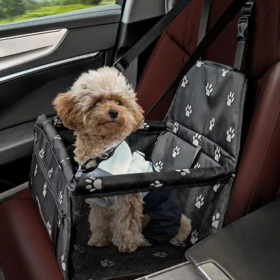 Produktbild von Hundeautositz Autositz für Hunde Hundetransportbox - Faltbar - Für kleine Hunde bis 10 kg - 40 x 32 x 24 cm