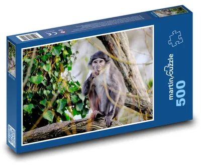 Zdjęcie produktu dla Puzzle 500 Mangabej na wolności - martinpuzzle