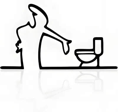 Produktbild von Toilettenschild 20x11 cm, Metall, schwarz, für Gäste-WC
