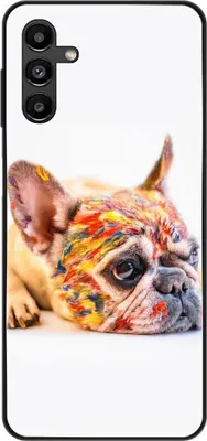 Produktbild von König Design Hülle kompatibel mit Samsung Galaxy A13 5G Kunststoff Soft Handyhülle - Handy Case Bulldogge Bunt