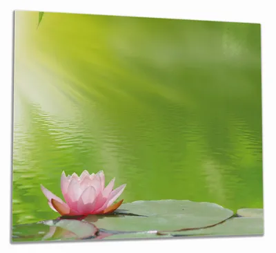Produktbild von Wallario Herdabdeckplatte aus Glas, Größe 60 x 52 cm 1-teilig, Motiv Seerose auf dem Wasser