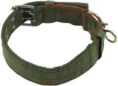 Produktbild von Ibenzoa® Verstellbares Tierhalsband aus Canvas & Metall für Schafe, Ziegen & Hunde – weiche Polsterung, Doppelverschluss, 1 Stück