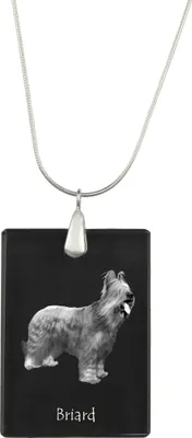 Image de Briard - Pendentif en cristal avec chien, collier en argent avec photo, pendentif personnalisé de la marque Art-Dog