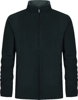 Image de Promodoro 7961 | Veste Homme Double Fleece, fermeture éclair dissimulée - Couleur : Charcoal (Solid)/Grey (Solid) - Taille : M