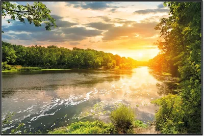 Produktbild von Wallario Wandbild Sonnenuntergang am Fluss in grüner Umgebung, Größe: 61 x 91,50 cm, Poster mit schwarzem Aluminiumrahmen