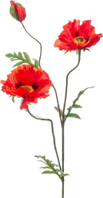 Produktbild von künstliche Mohnblume mit 2 Blüten + 1 Knospe orange H. 90cm Emerald Kunstblumen
