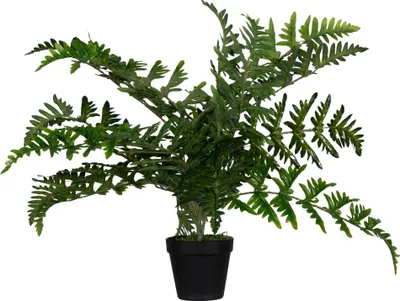 Obrázok produktu pre Paperflow umelá rastlina PAFOUG55 papraď 55cm