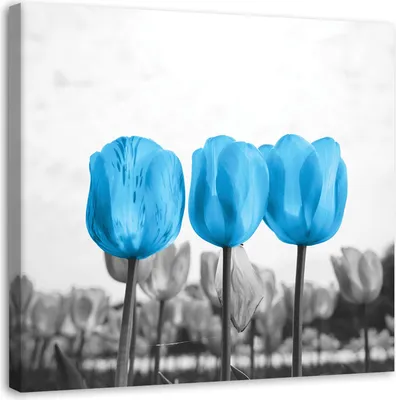 Produktbild von Leinwandbild blaue tulpen auf einer wiese 30x30 cm Feeby blau wandbild bereit zum aufhängen