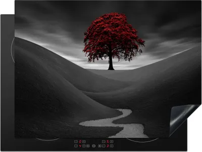 Produktbild von KitchenYeah© Herdabdeckplatte Schwarz-Weiß-Foto mit einem roten Baum , 71x52cm, Küche Deko, Glaskeramikkochfeld Herdabdeckung, Abdeckplatte fùr Kochfeld