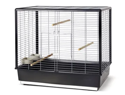 Image de Cage pour oiseaux Noah