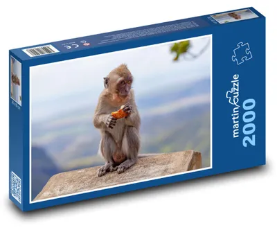 Zdjęcie produktu dla Puzzle 2000 Makak na skale z owocem - martinpuzzle