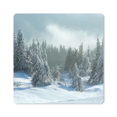 Produktbild von MuchoWow® Mauspad Mousepad Wald - Schnee - Winter 20x20 cm - Mousepads - Maus Mat - Pad - Mausunterlage - Desk Mat - Bureauartikeln