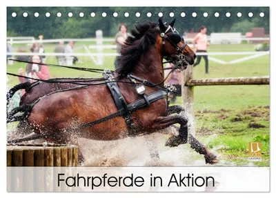 Produktbild von Fahrpferde in Aktion (Tischkalender 2027 DIN A5 quer), CALVENDO Monatskalender