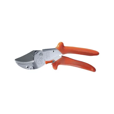 Produktbild von Original LÖWE Gartenschere 10.107