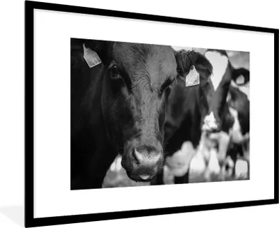 Produktbild von MuchoWow® MuchoWow® Gerahmtes Poster Kuhzunge 90x60 cm - Poster mit zchwarzem Bilderrahmen - Wanddekoration - Fotos
