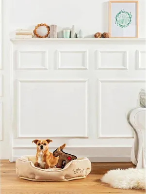 Ovale Hundebett und Katzenbett - 57 x 52 x 14 cm - Beiger Polyester