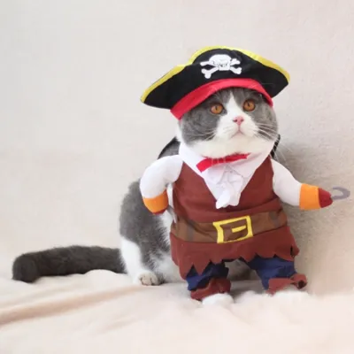 Immagine prodotto di Vestiti per animali domestici, vestiti da pirata per animali domestici, costume per animali domestici, costume da pirata per animali domestici, vestiti di Halloween per animali domestici