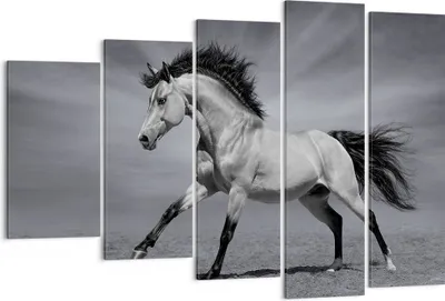 Produktbild von Bild auf Leinwand - Leinwandbild - Pferd Tier Natur - 150x100cm - Wand Bild - Wanddeko - Leinwanddruck - Bilder - Kunstdruck - Wanddekoration - Leinwand bilder - Wandkunst - EG150x100-3608