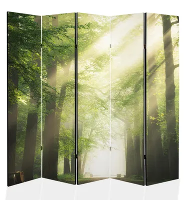 Produktbild von framed concept - Paravent Raumteiler Holz 225x172 cm, 5-teilig beidseitig, Sichtschutzwand