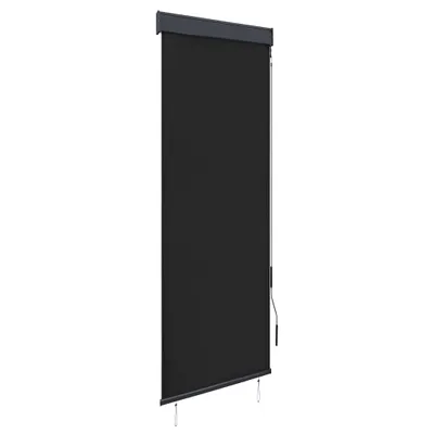Immagine prodotto di vidaXL Tenda a rullo per esterni 60 x 250 cm antracite