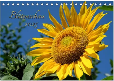 Produktbild von Blütenschau 2025 (Tischkalender 2025 DIN A5 quer), CALVENDO Monatskalender