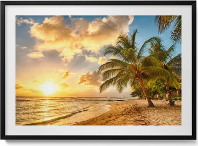 Produktbild von Palmenstrand und Meer bei Sonnenuntergang– Wandbild mit Rahmen – Gerahmtes Bild  – Wanddekoration – 100x70 cm –  Schwarz Rahmen
