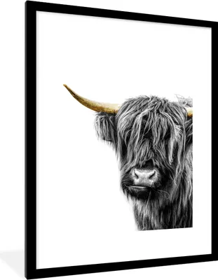 Produktbild von MuchoWow® Gerahmtes Poster Scottish Highlander - Schwarz - Weiß - Gold 60x80 cm - Poster mit Schwarzem Bilderrahmen Wandposter Rahmen Foto Bilder - Wohnzimmer - Dekorationen - Prämie