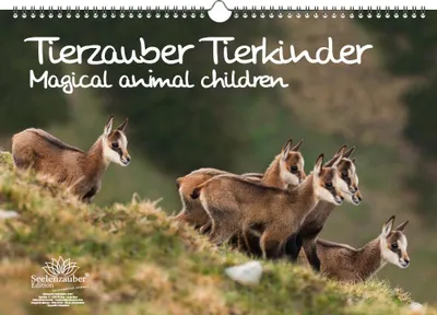 Produktbild von Tierkinderzauber Immerwährender Kalender DIN A3 Tierbabys und Tierkinder - Seelenzauber
